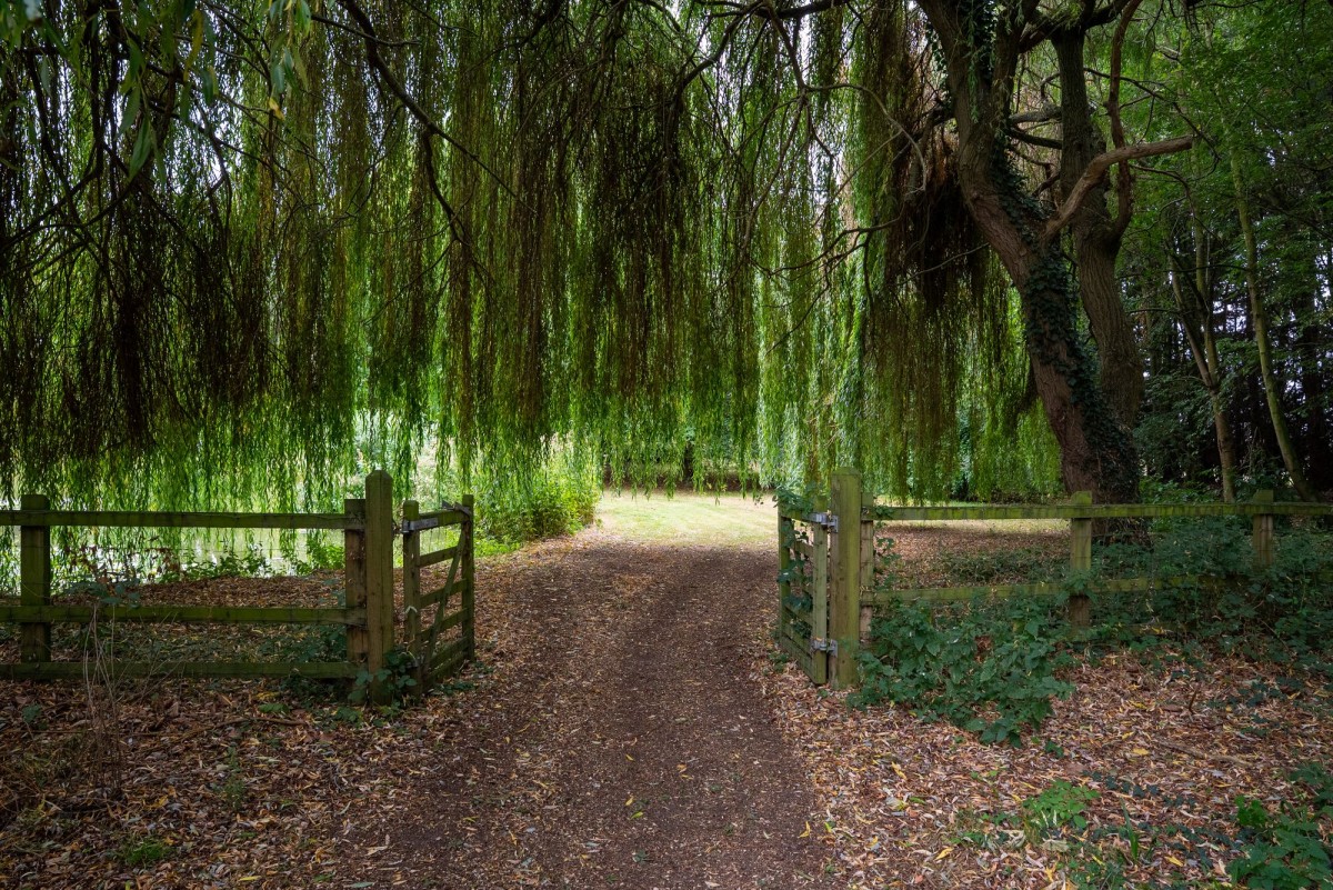 Horsley Hale, Littleport, CB6