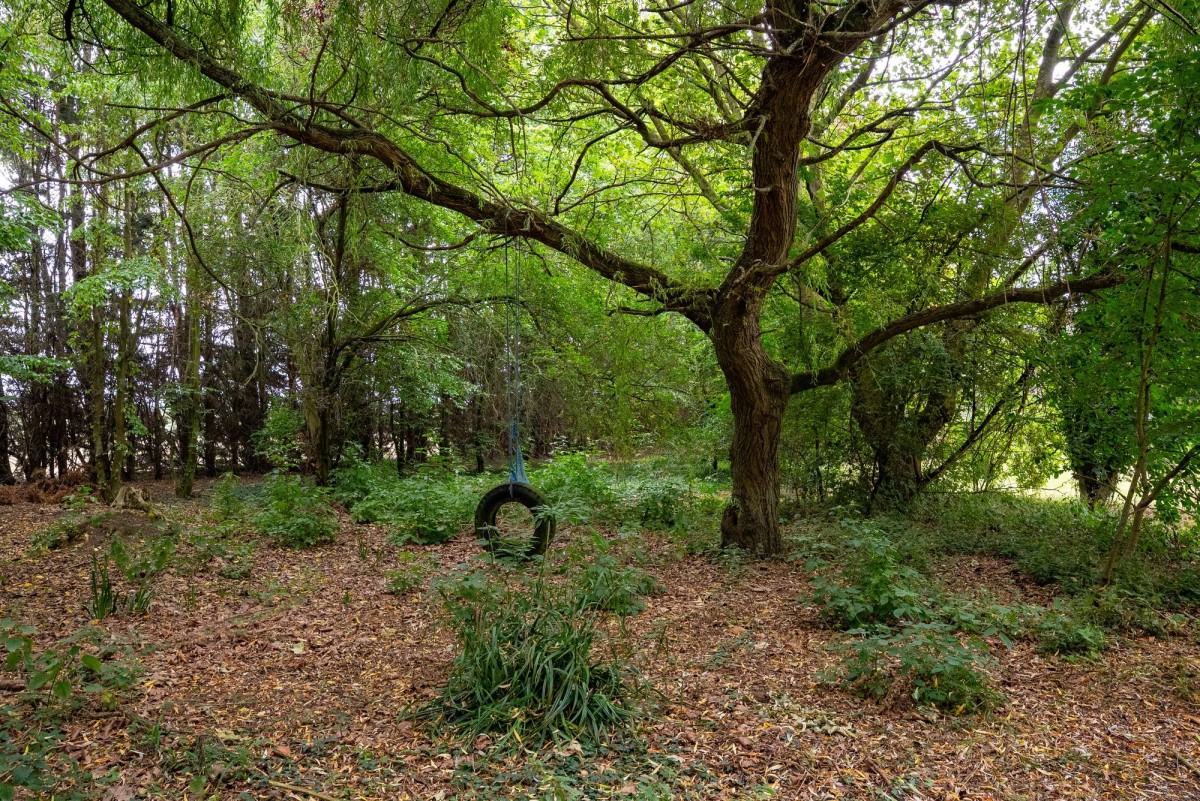 Horsley Hale, Littleport, CB6