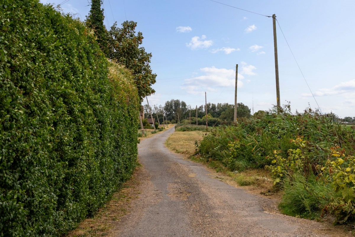 Horsley Hale, Littleport, CB6