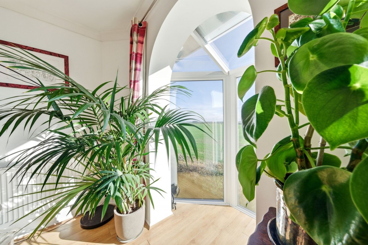 The Coppice, Littleport, CB6