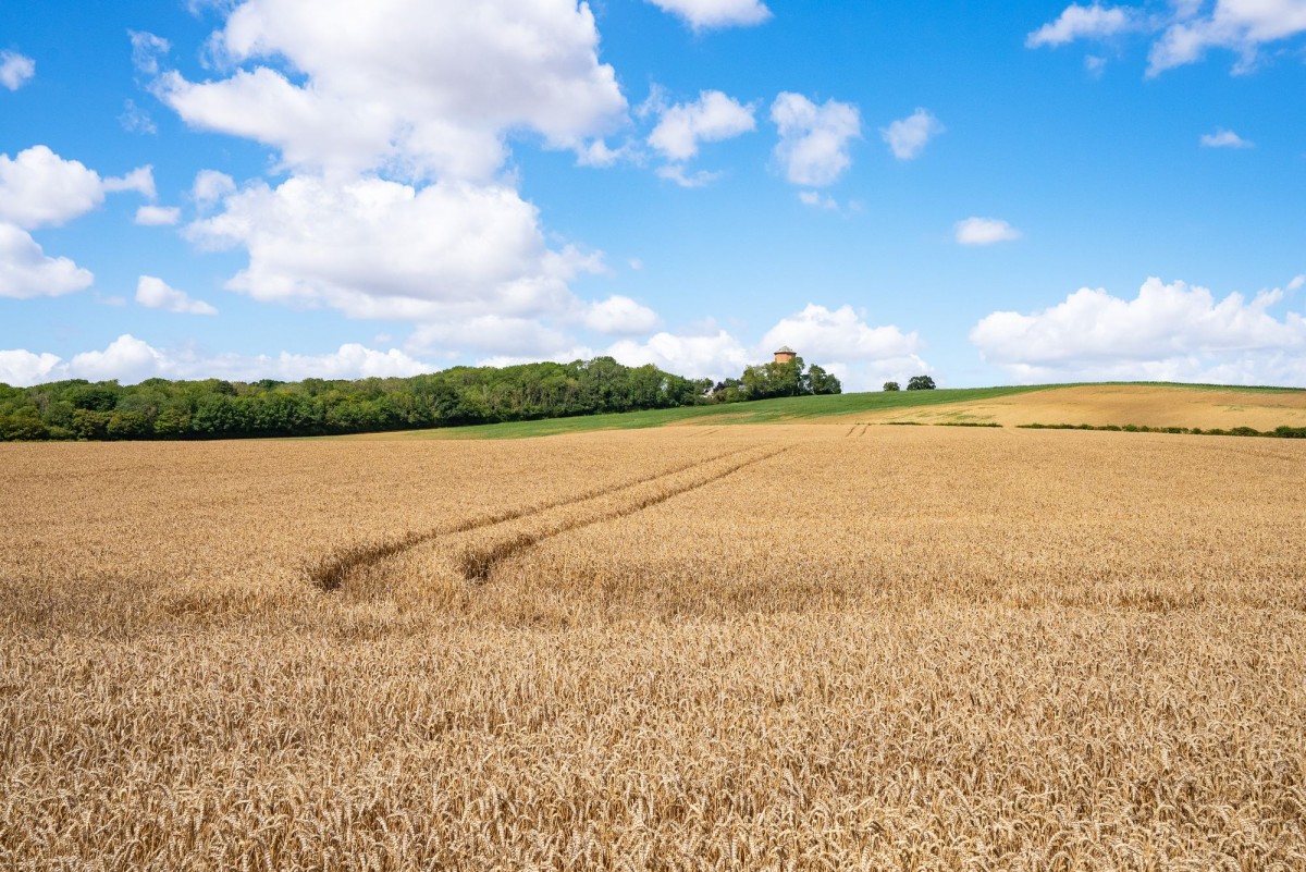 Balsham Road, Linton, CB21