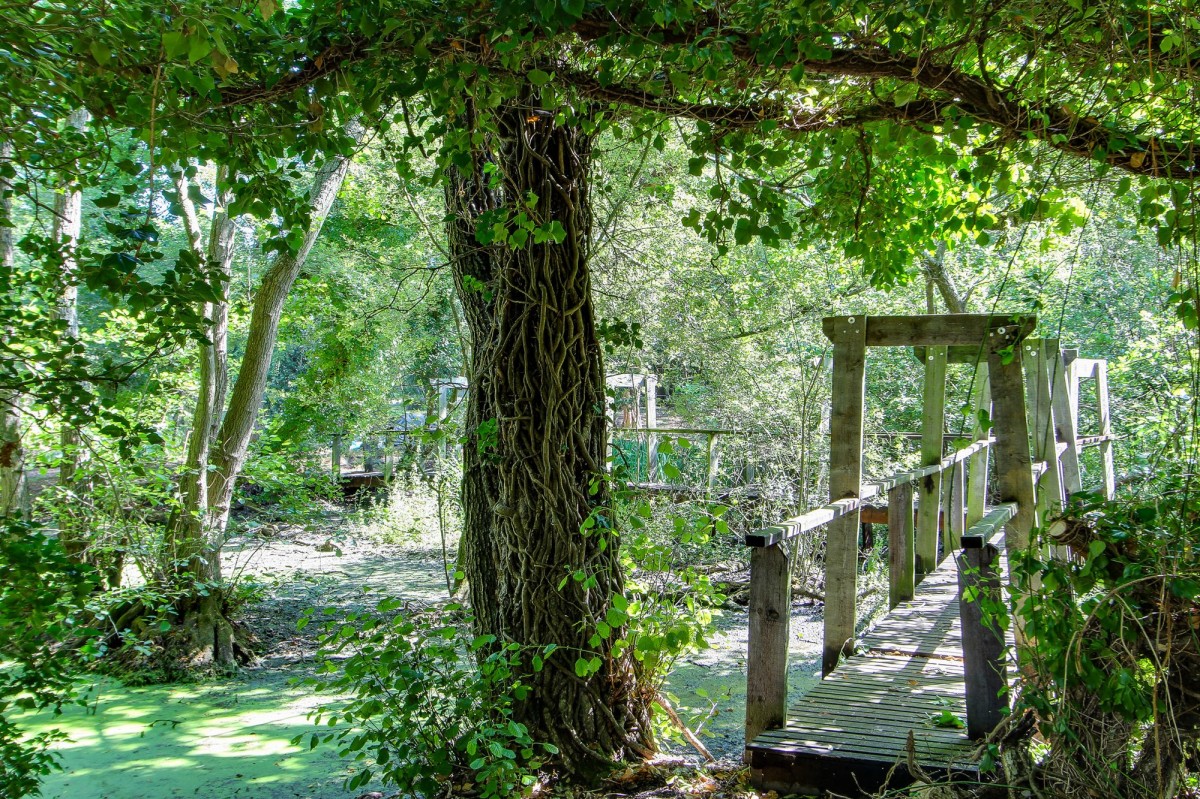 Main Road, West Bilney, PE32