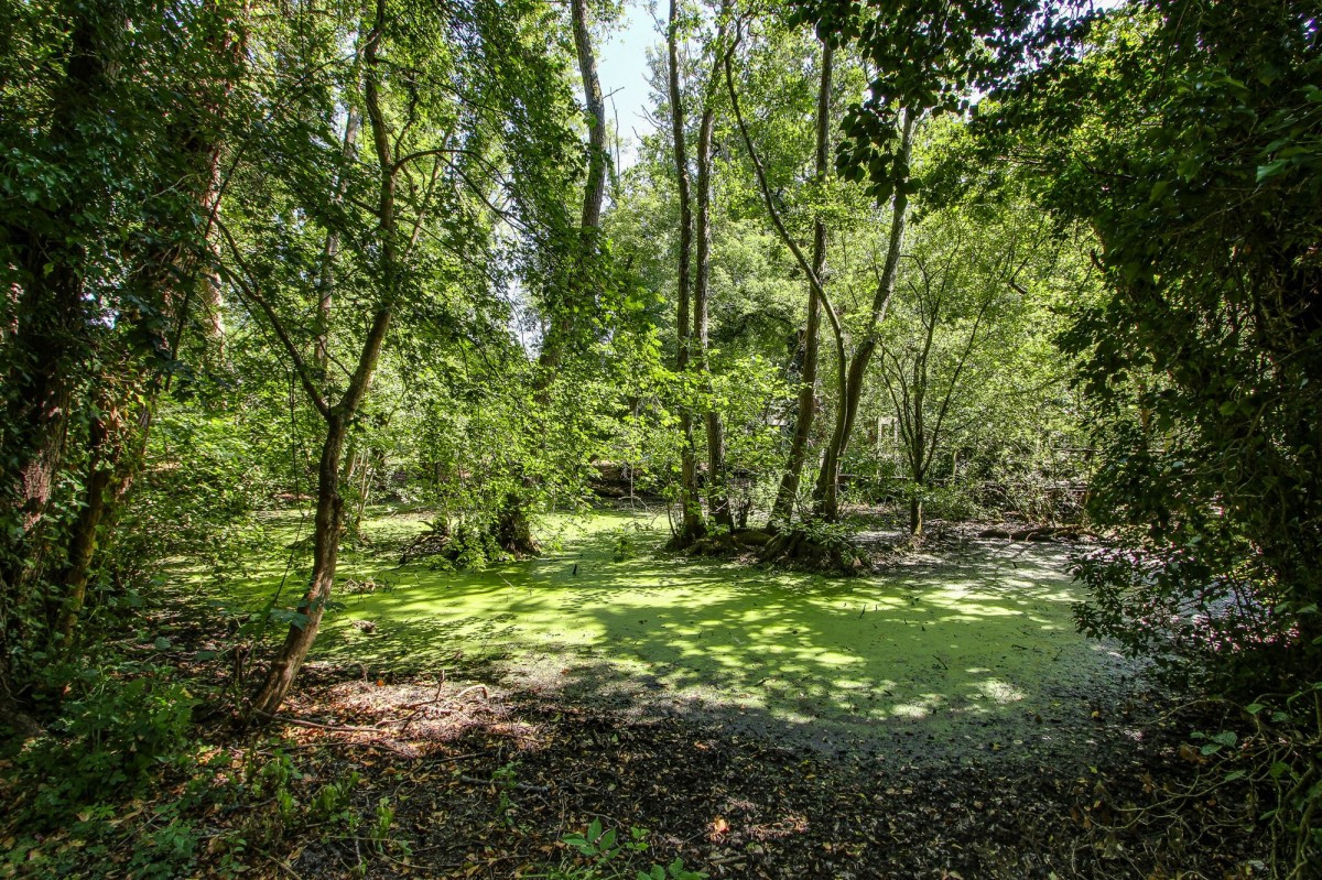 Main Road, West Bilney, PE32