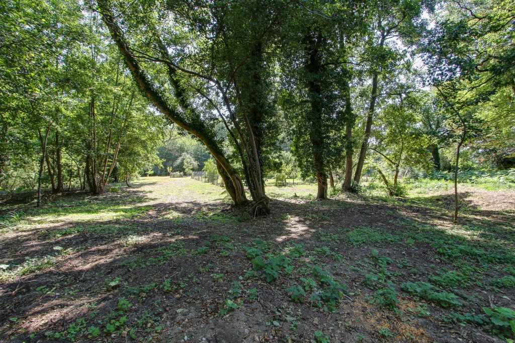 Main Road, West Bilney, PE32