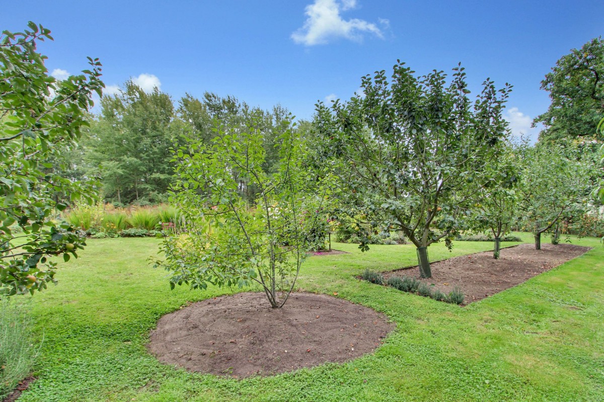 Main Road, West Bilney, PE32