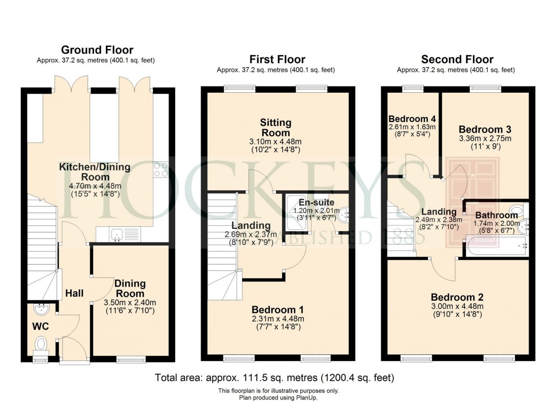 Floorplan for Hornbeam Avenue, Red Lodge, IP28