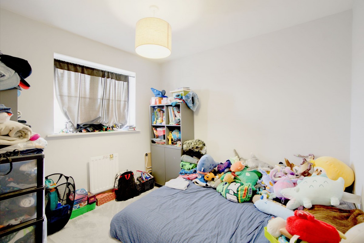 Hornbeam Avenue, Red Lodge, IP28