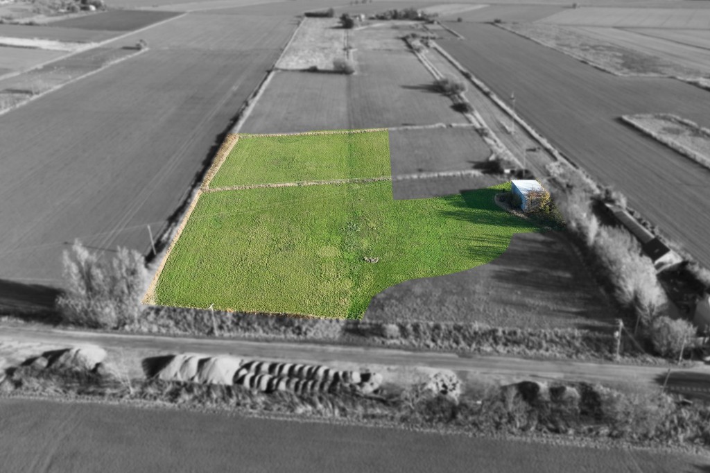 Old Fendyke, Sutton St James, PE12