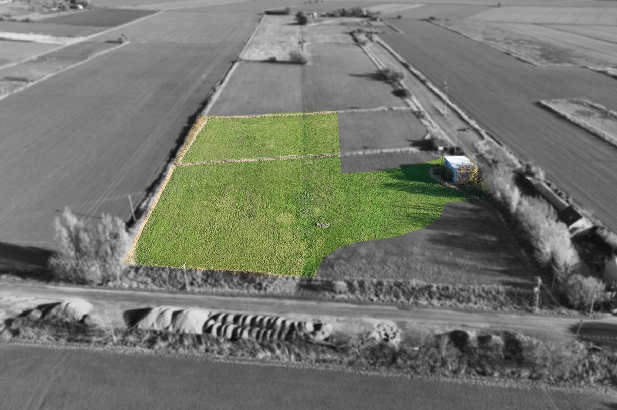 Old Fendyke, Sutton St James, PE12