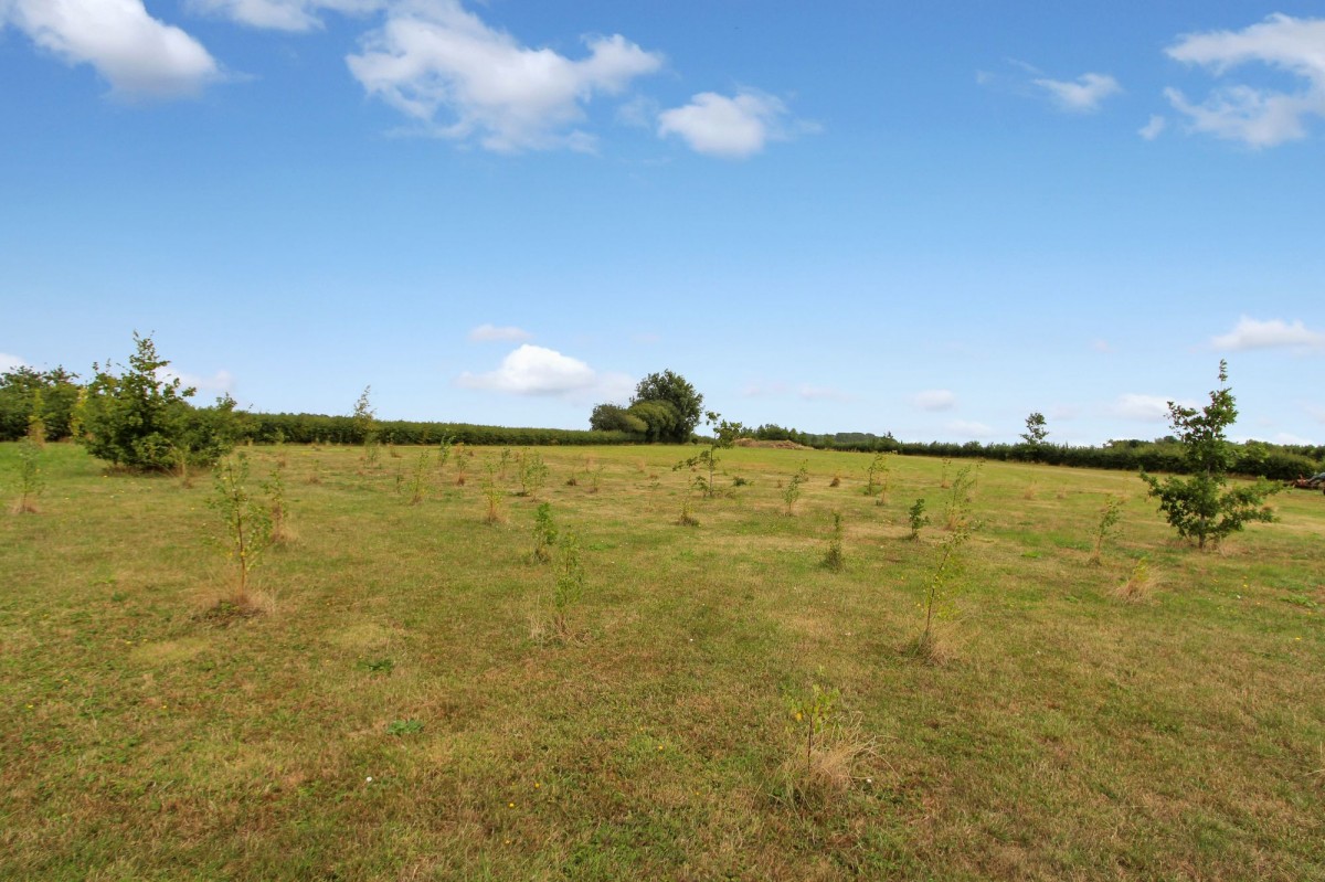 Trinity Road, Walpole Highway, PE14