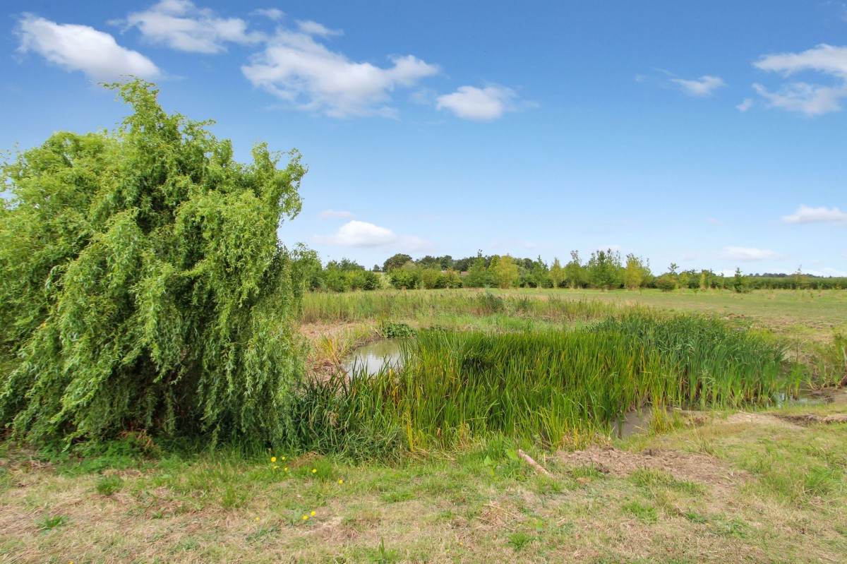 Trinity Road, Walpole Highway, PE14