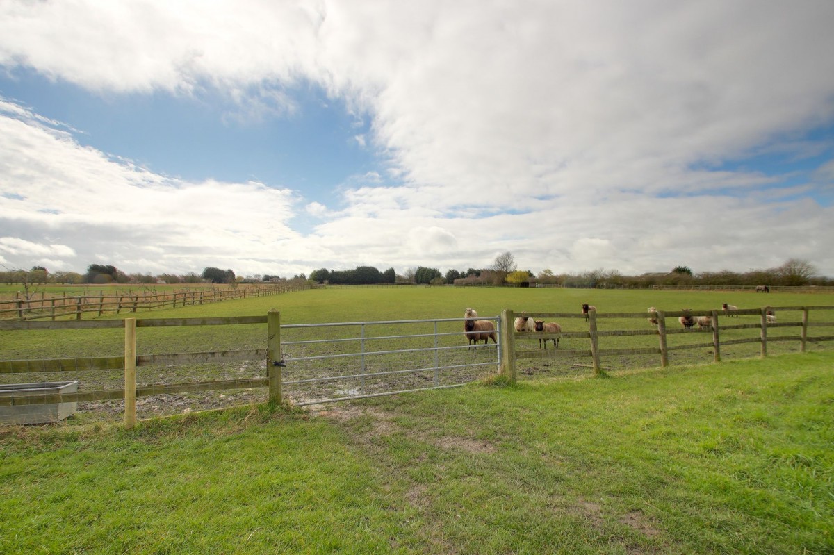 Goredike Bank, Gorefield, PE13