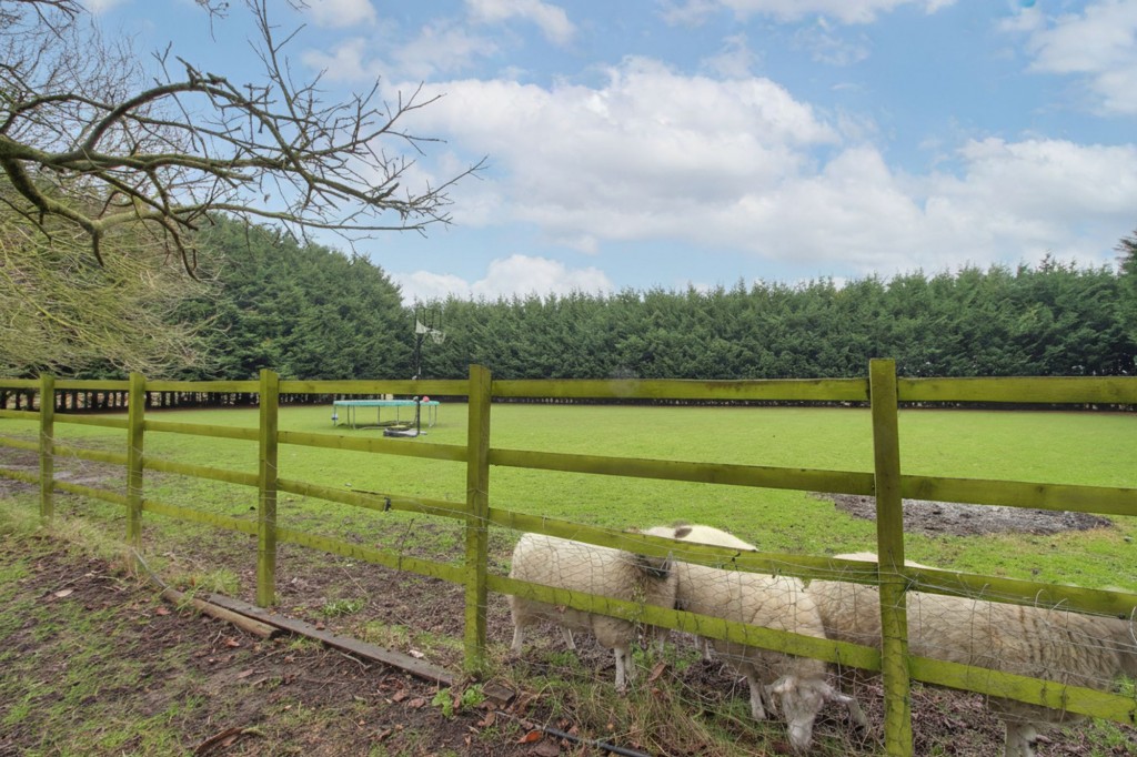 Lynn Road, Walton Highway, PE14