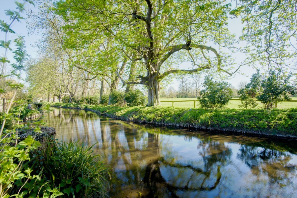 Mill Close, Exning, CB8