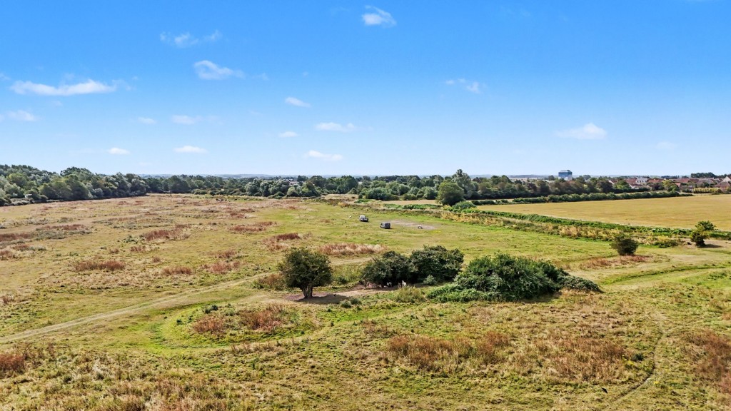 East Fen Common, Soham, CB7