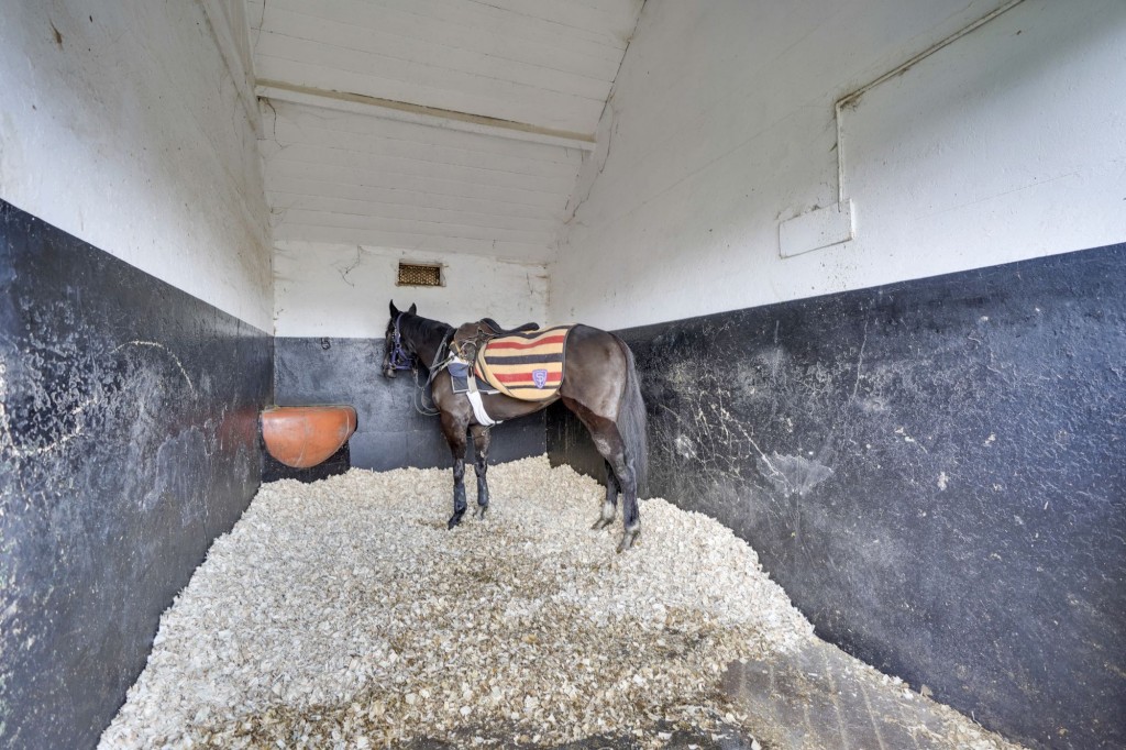 Old Station Road, Newmarket, CB8