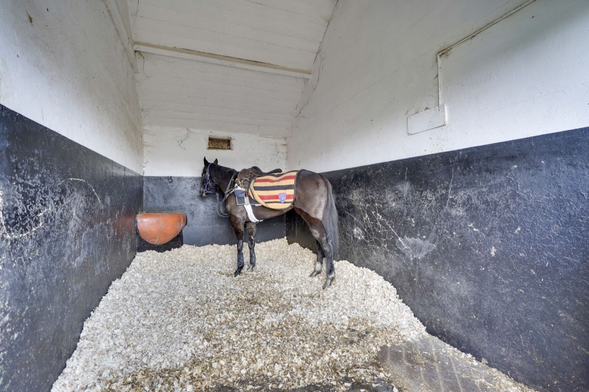 Old Station Road, Newmarket, CB8