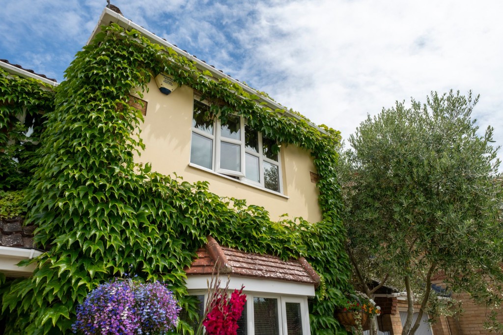 Farriers Gate, Chatteris, PE16