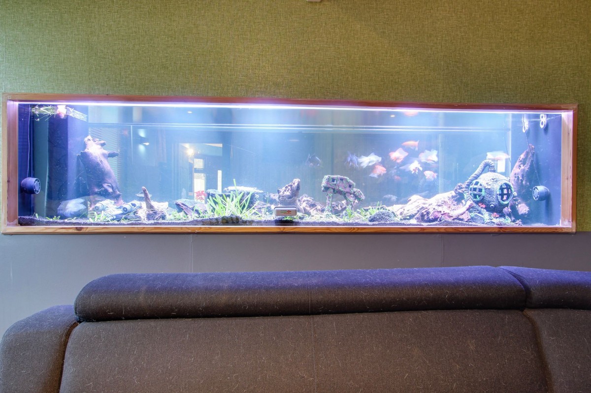 King John Bank, Walpole St. Andrew, PE14