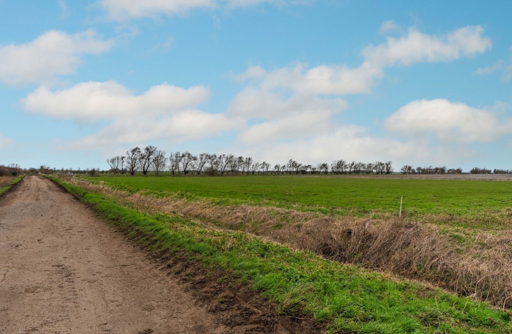 Long Drove, Waterbeach, CB25