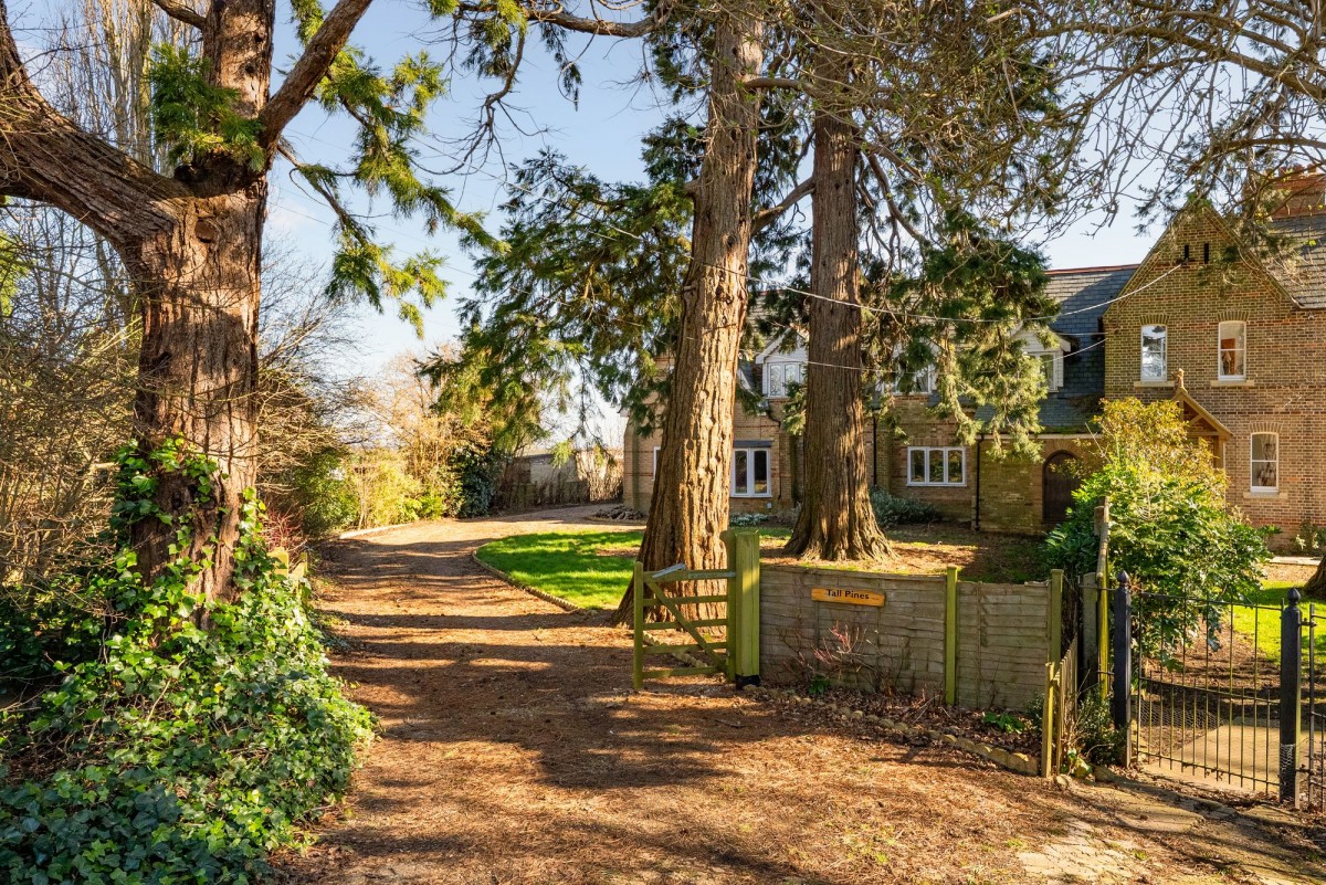 Suspension Bridge, Littleport, CB6