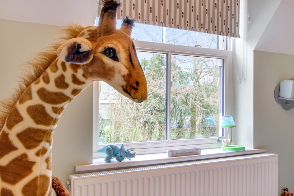 Signal Close, Marshland St. James, PE14