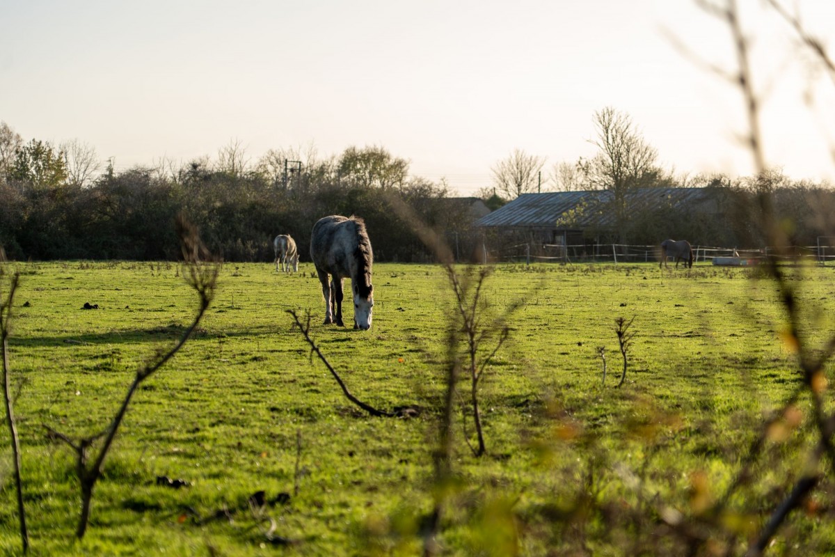 St. Michaels, Longstanton, CB24