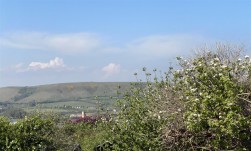 Panorama Road, Swanage