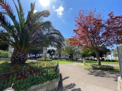 St. Georges Estate Road, Portland
