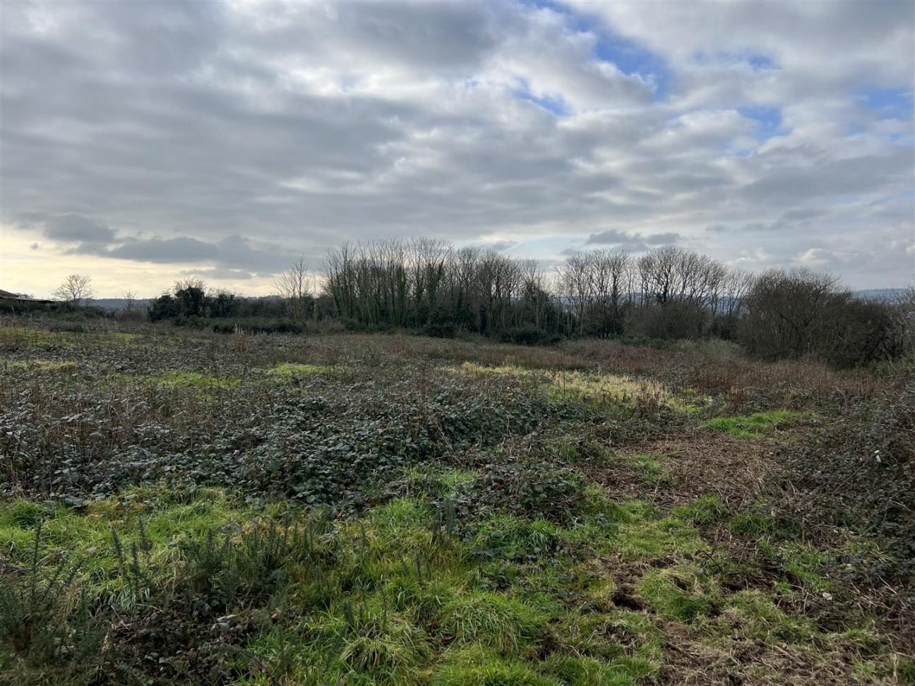 Buckbury Lane, Newport