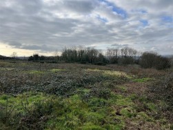 Buckbury Lane, Newport