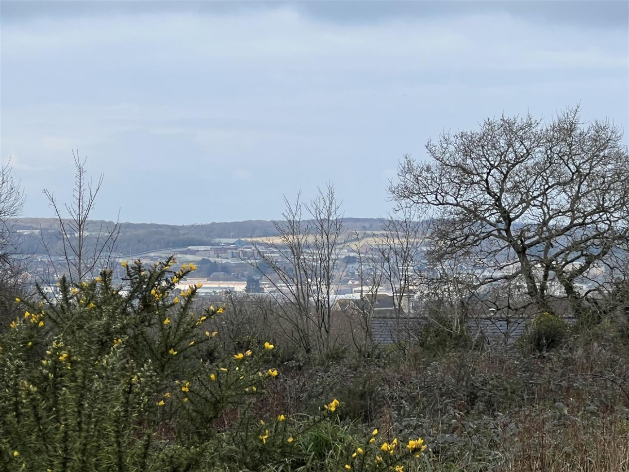 Buckbury Lane, Newport