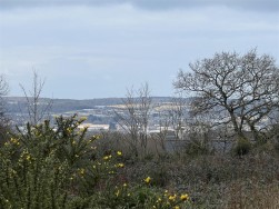 Buckbury Lane, Newport