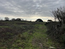 Buckbury Lane, Newport