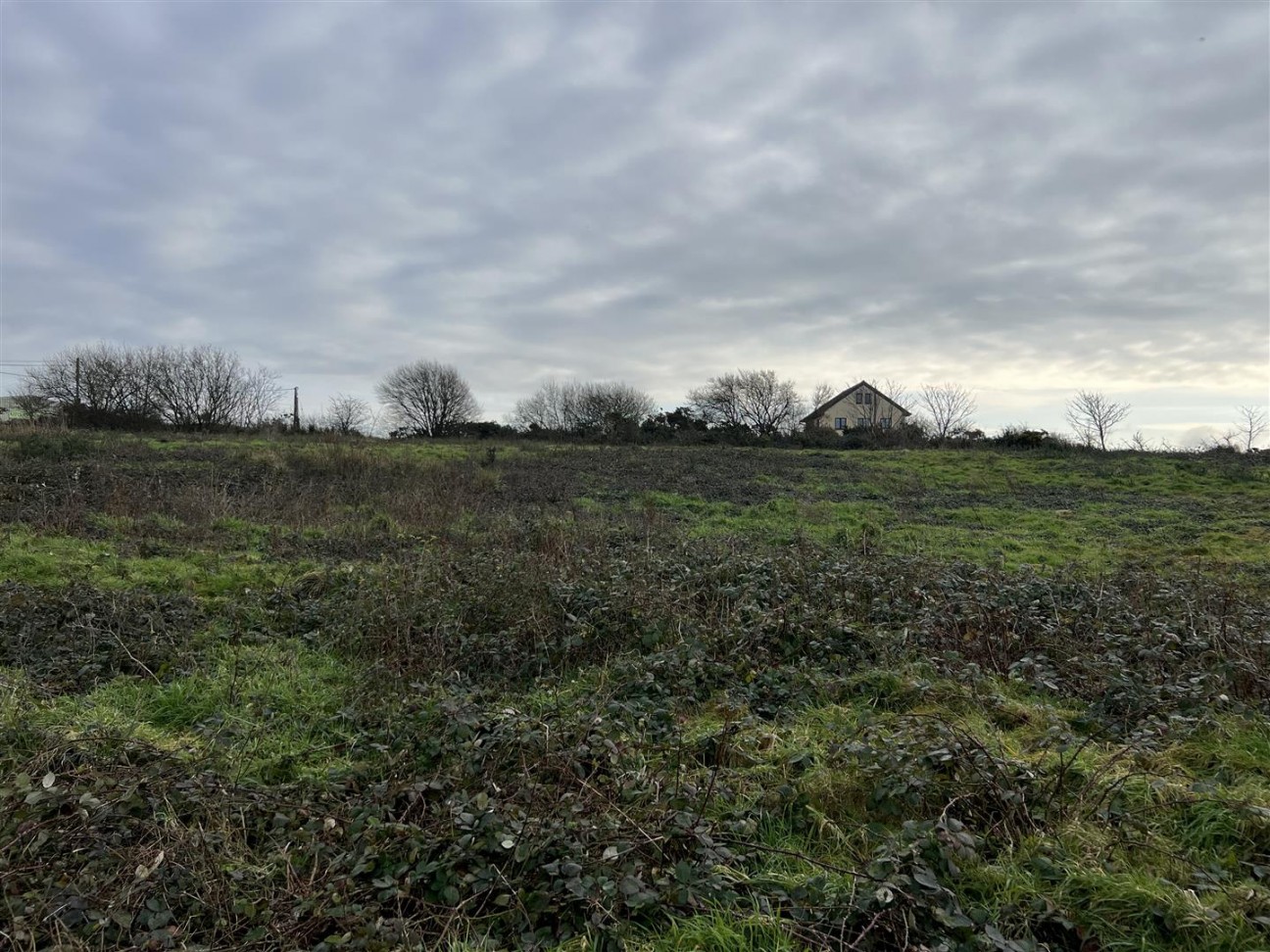Buckbury Lane, Newport