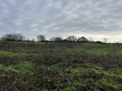 Buckbury Lane, Newport