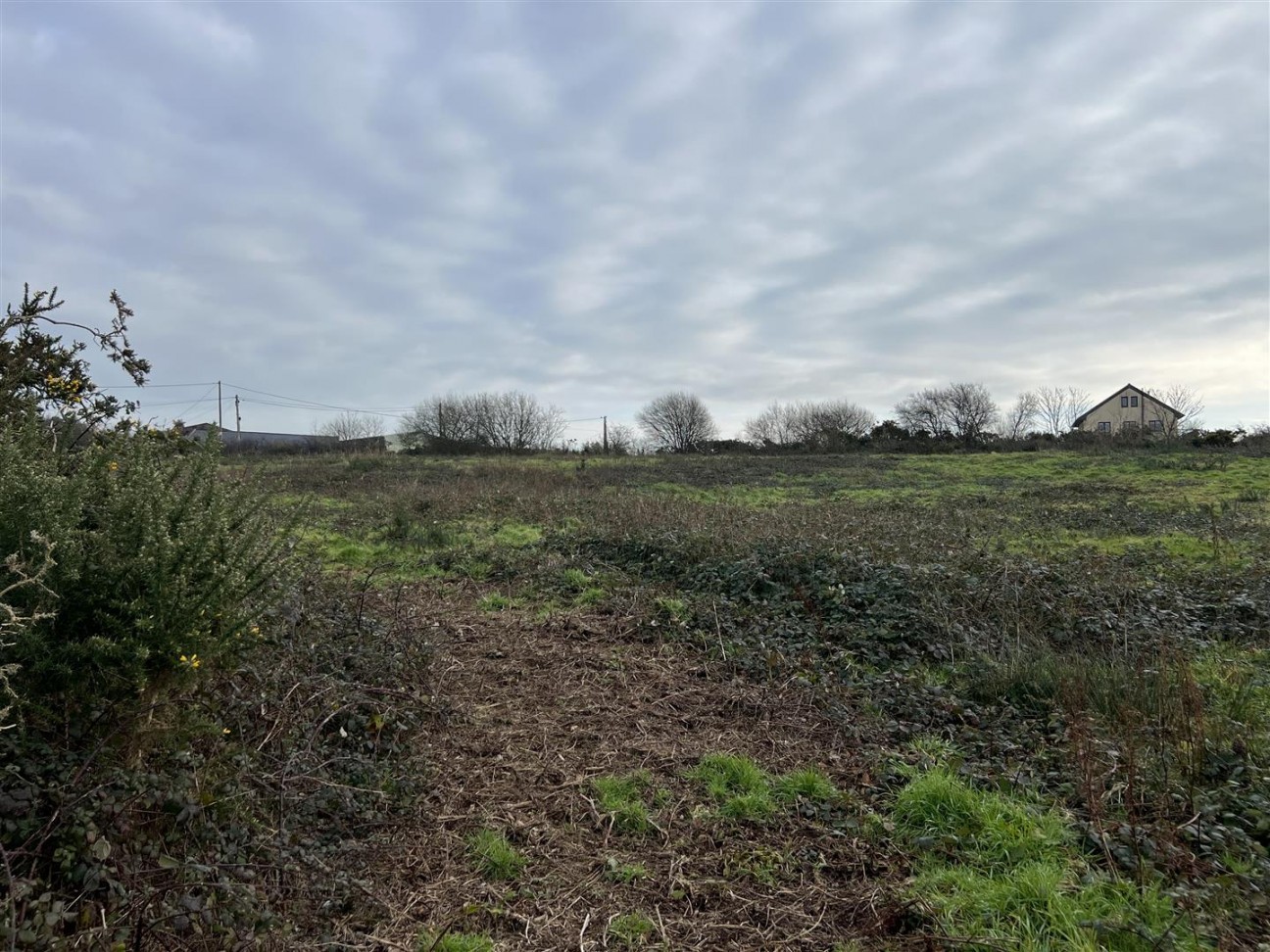 Buckbury Lane, Newport