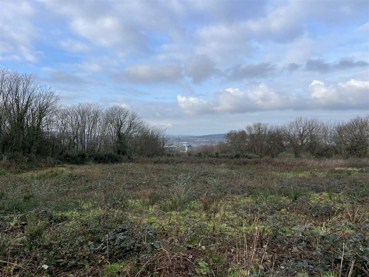 Buckbury Lane, Newport