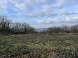 Buckbury Lane, Newport