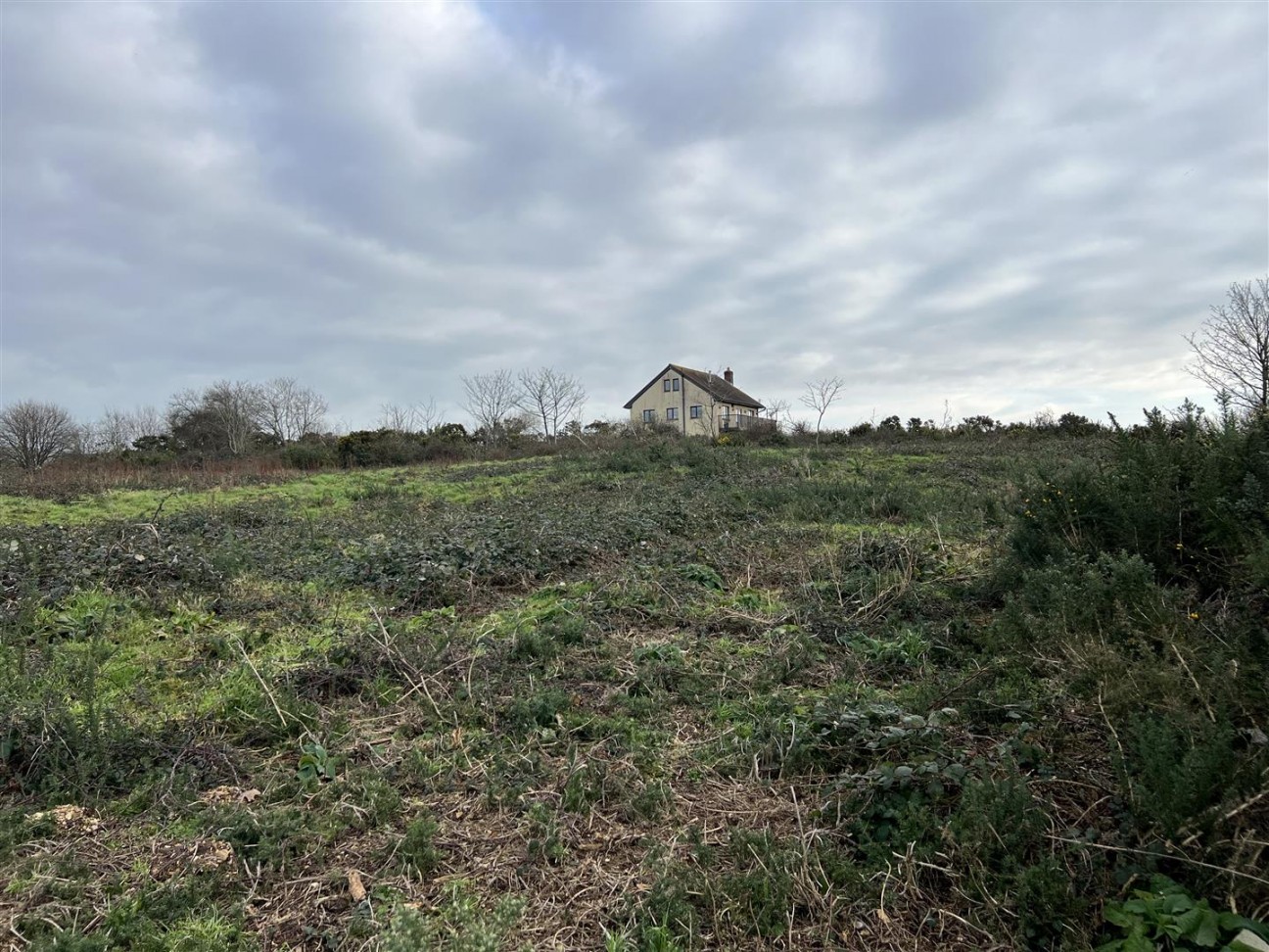 Buckbury Lane, Newport