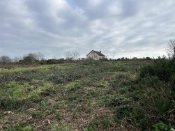 Buckbury Lane, Newport