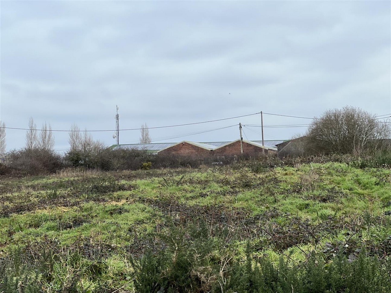 Buckbury Lane, Newport