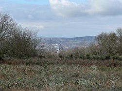 Buckbury Lane, Newport