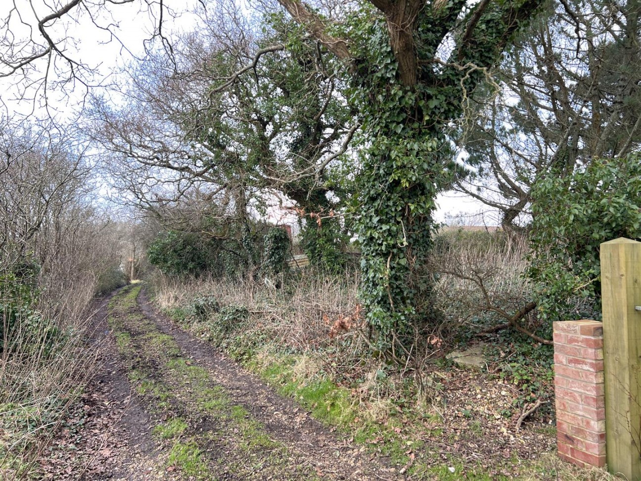 Buckbury Lane, Newport