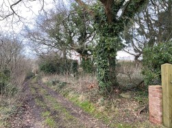 Buckbury Lane, Newport