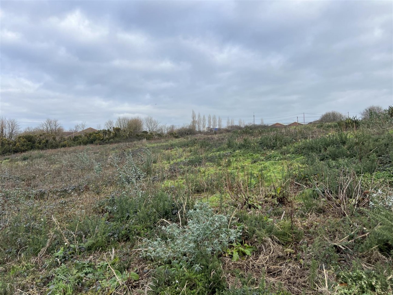 Buckbury Lane, Newport