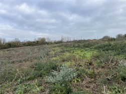 Buckbury Lane, Newport
