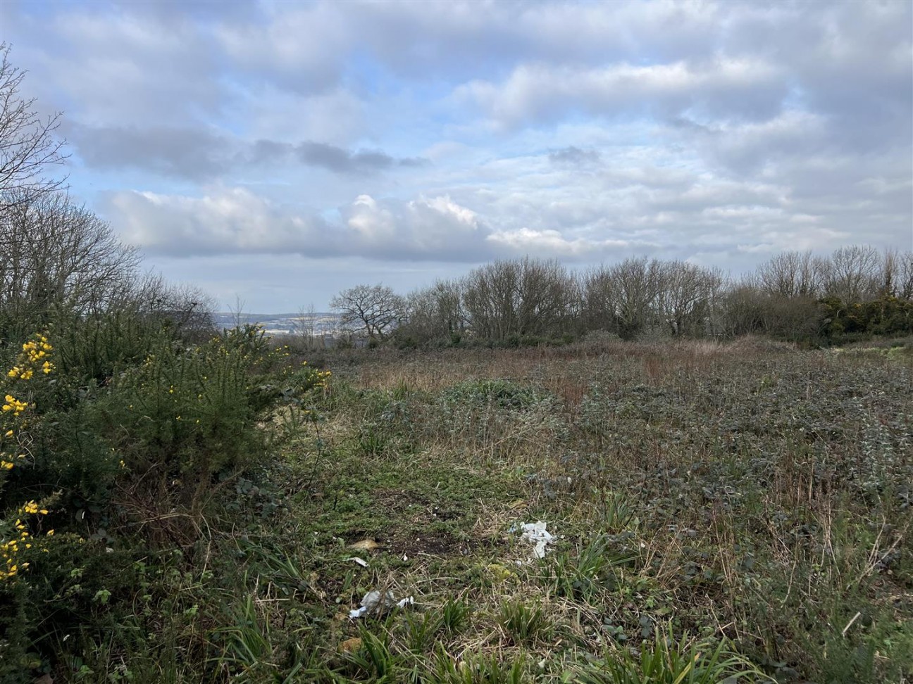 Buckbury Lane, Newport