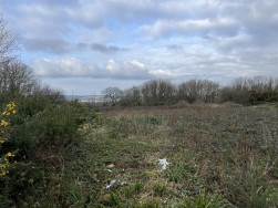 Buckbury Lane, Newport