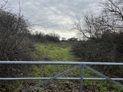 Buckbury Lane, Newport